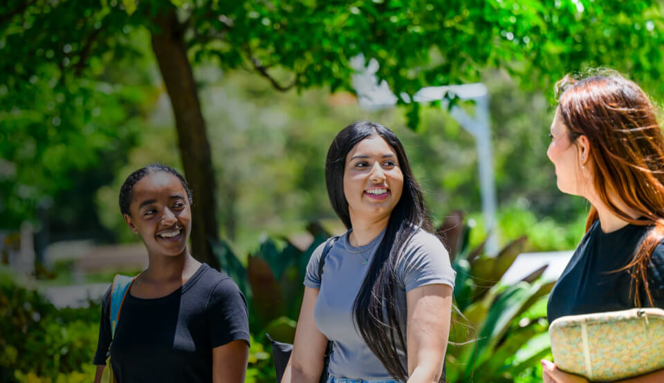 Introduction LearnPress – LMS plugin