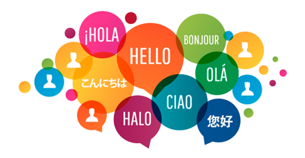 تعليم تعليم